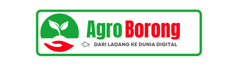 Kenapa Agroborong.com Dibina?